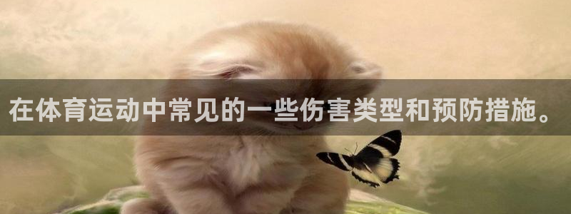 在体育运动中常见的一些伤害类型和预防措施。