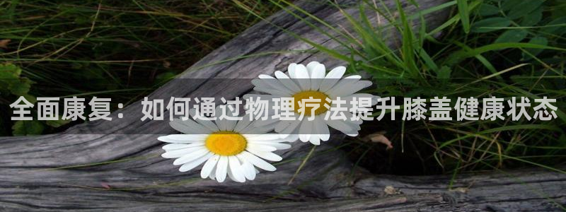 全面康复：如何通过物理疗法提升膝盖健康状态