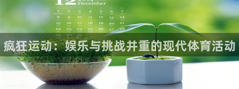 疯狂运动：娱乐与挑战并重的现代体育活动